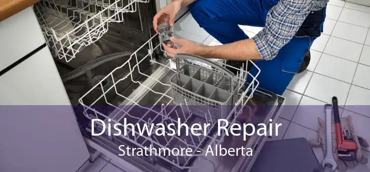 Dishwasher Repair Strathmore - Alberta