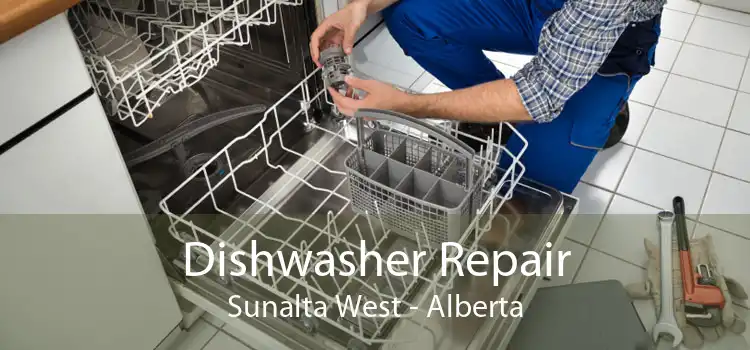 Dishwasher Repair Sunalta West - Alberta