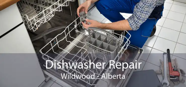 Dishwasher Repair Wildwood - Alberta