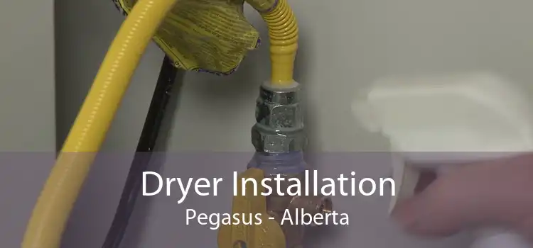 Dryer Installation Pegasus - Alberta