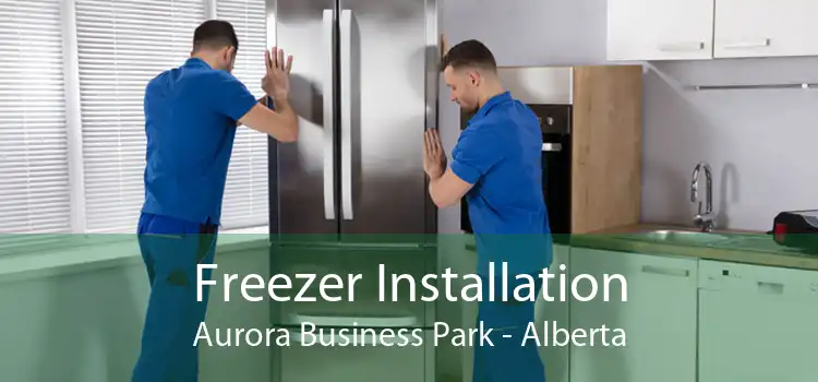 Freezer Installation Aurora Business Park - Alberta