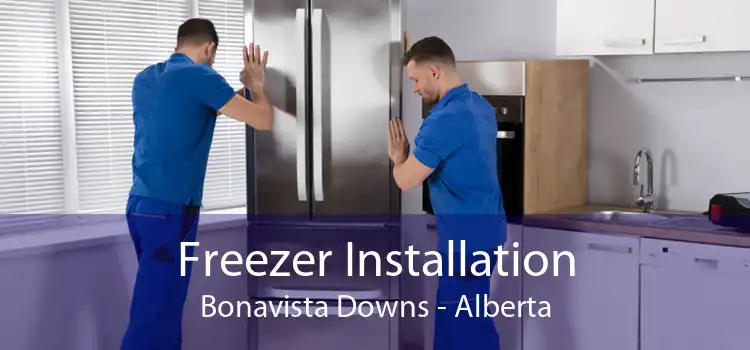Freezer Installation Bonavista Downs - Alberta