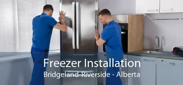 Freezer Installation Bridgeland-Riverside - Alberta