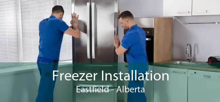 Freezer Installation Eastfield - Alberta