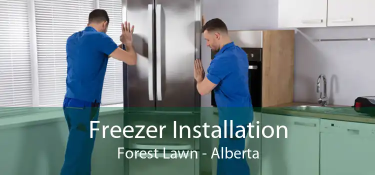 Freezer Installation Forest Lawn - Alberta