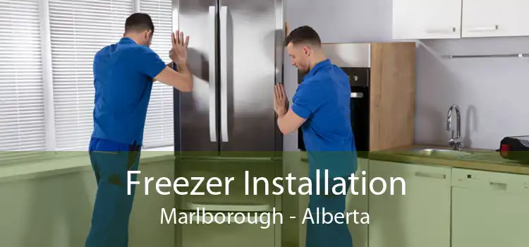 Freezer Installation Marlborough - Alberta
