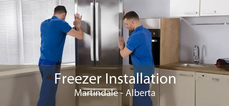 Freezer Installation Martindale - Alberta