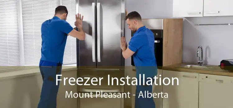 Freezer Installation Mount Pleasant - Alberta