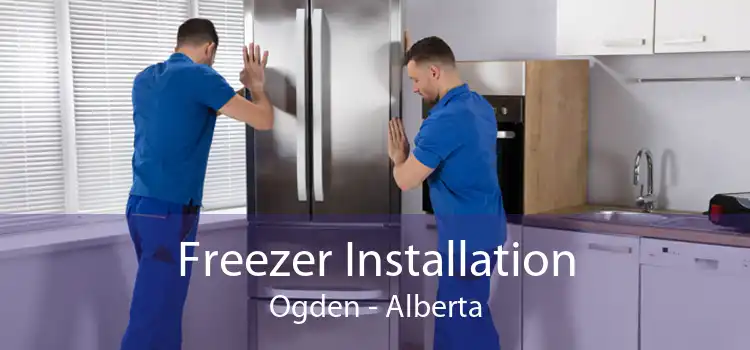 Freezer Installation Ogden - Alberta