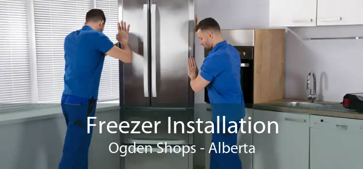 Freezer Installation Ogden Shops - Alberta