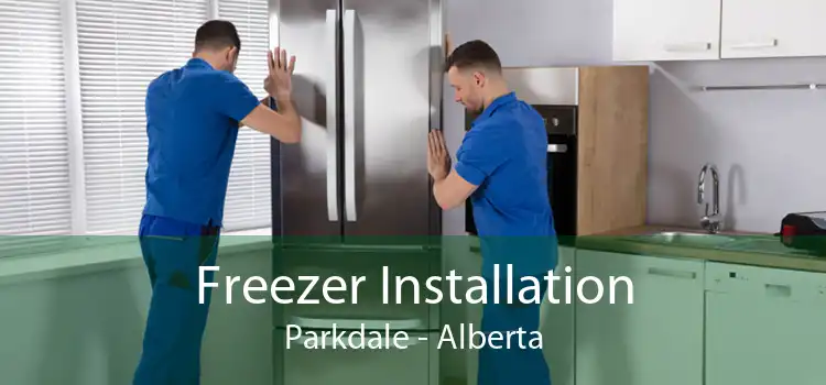 Freezer Installation Parkdale - Alberta