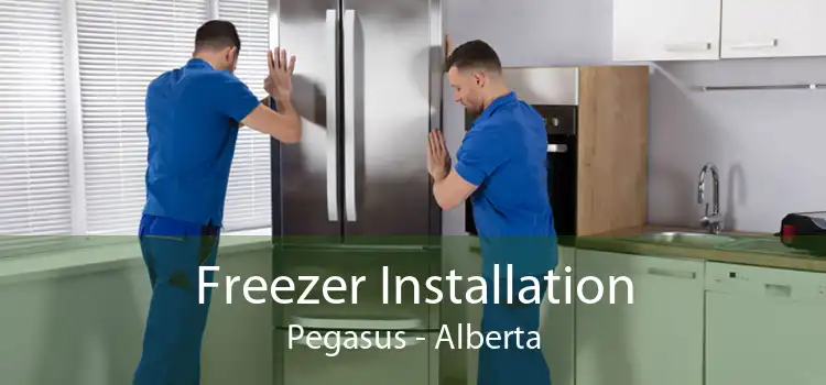 Freezer Installation Pegasus - Alberta