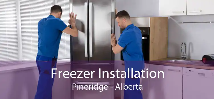 Freezer Installation Pineridge - Alberta