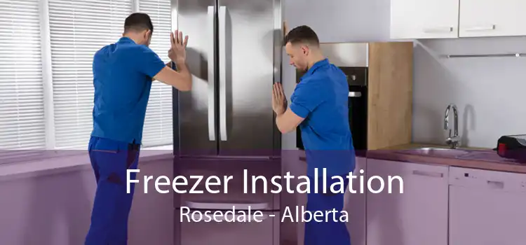 Freezer Installation Rosedale - Alberta