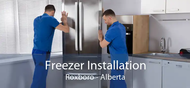 Freezer Installation Roxboro - Alberta