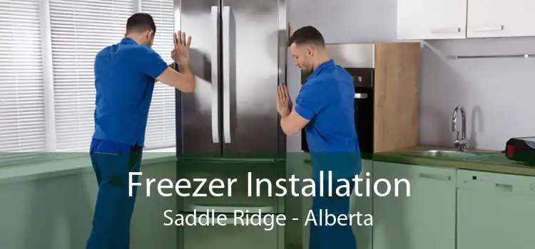 Freezer Installation Saddle Ridge - Alberta