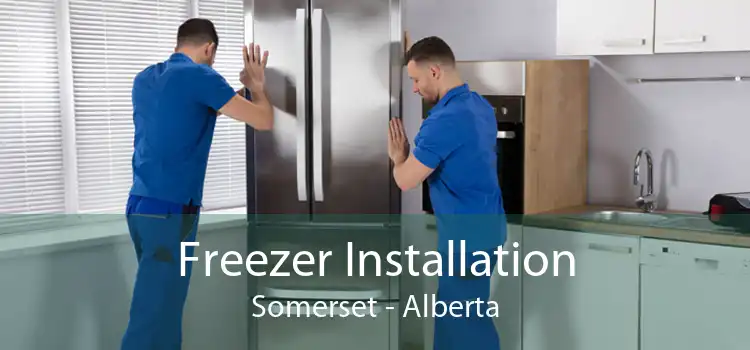 Freezer Installation Somerset - Alberta
