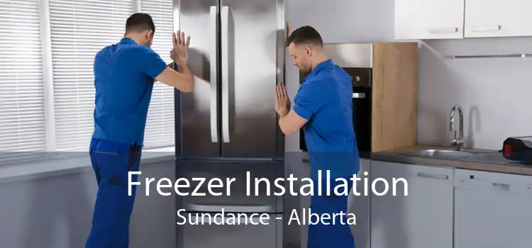 Freezer Installation Sundance - Alberta