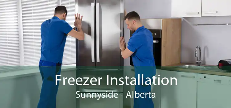 Freezer Installation Sunnyside - Alberta