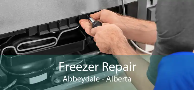 Freezer Repair Abbeydale - Alberta