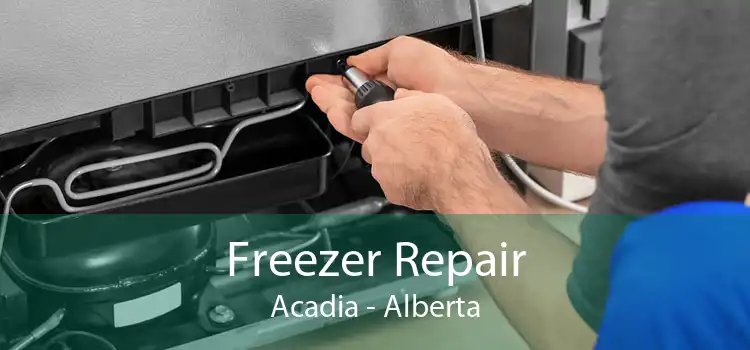 Freezer Repair Acadia - Alberta