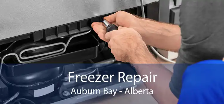 Freezer Repair Auburn Bay - Alberta