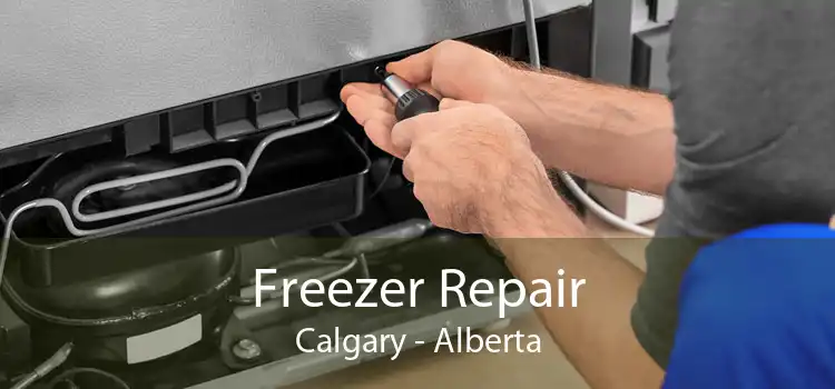 Freezer Repair Calgary - Alberta