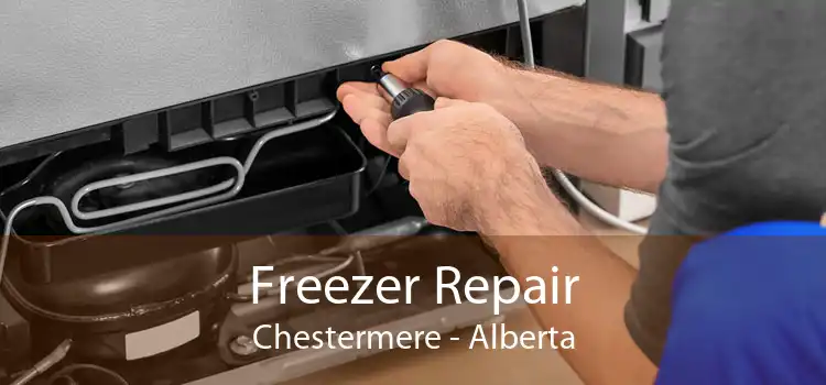 Freezer Repair Chestermere - Alberta