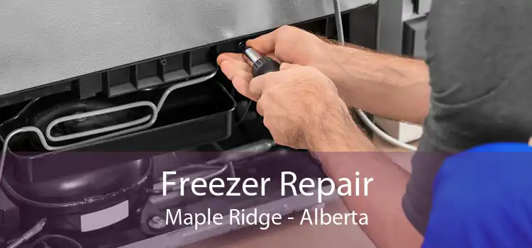 Freezer Repair Maple Ridge - Alberta