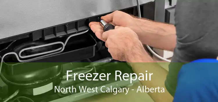 Freezer Repair North West Calgary - Alberta