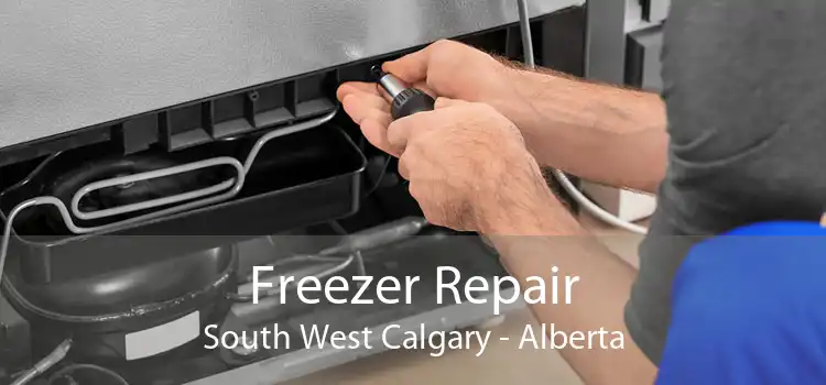 Freezer Repair South West Calgary - Alberta