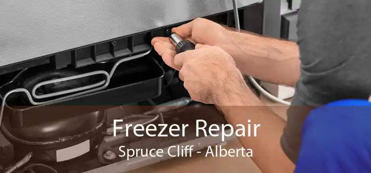 Freezer Repair Spruce Cliff - Alberta