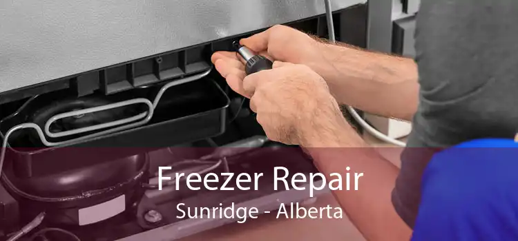 Freezer Repair Sunridge - Alberta