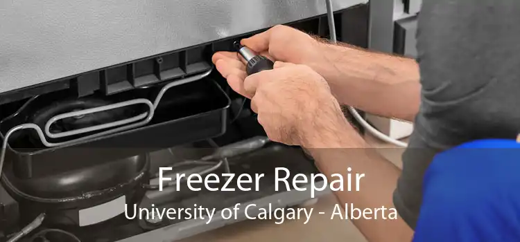 Freezer Repair University of Calgary - Alberta