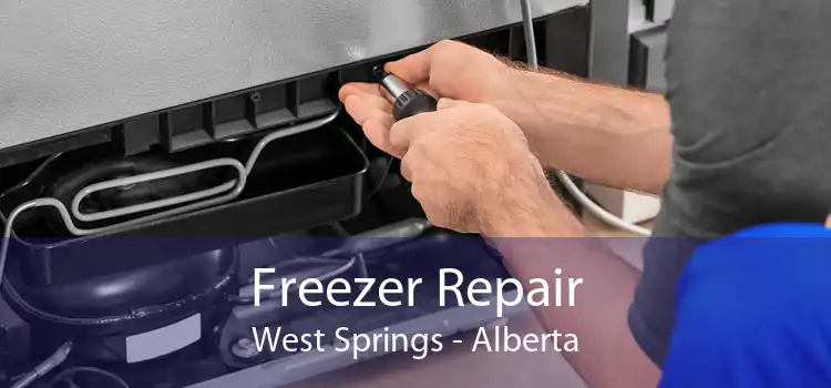 Freezer Repair West Springs - Alberta