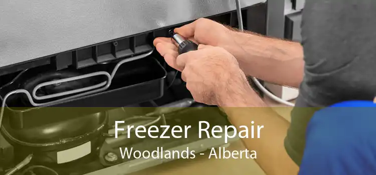 Freezer Repair Woodlands - Alberta