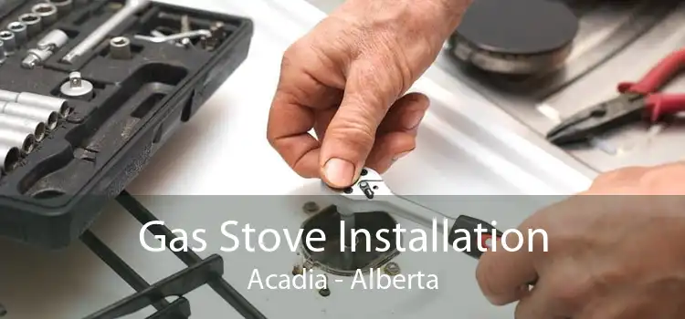 Gas Stove Installation Acadia - Alberta