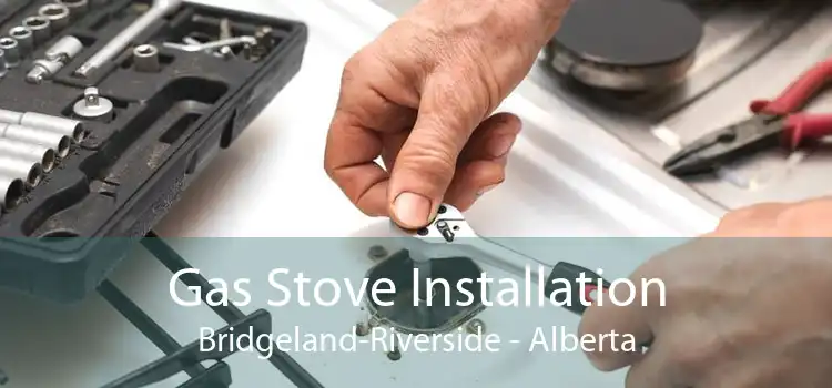 Gas Stove Installation Bridgeland-Riverside - Alberta