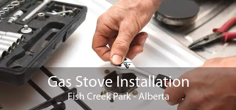 Gas Stove Installation Fish Creek Park - Alberta