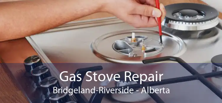 Gas Stove Repair Bridgeland-Riverside - Alberta