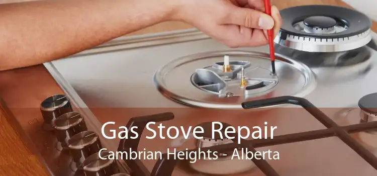Gas Stove Repair Cambrian Heights - Alberta