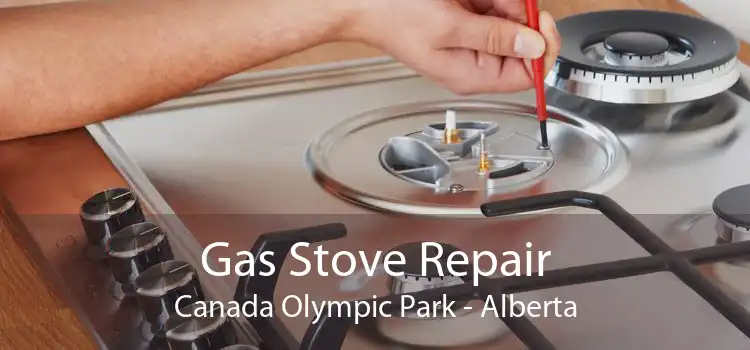 Gas Stove Repair Canada Olympic Park - Alberta