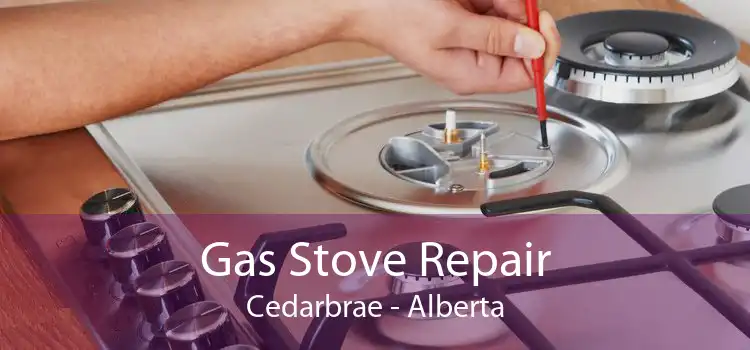 Gas Stove Repair Cedarbrae - Alberta