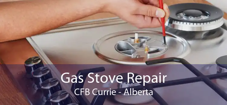 Gas Stove Repair CFB Currie - Alberta