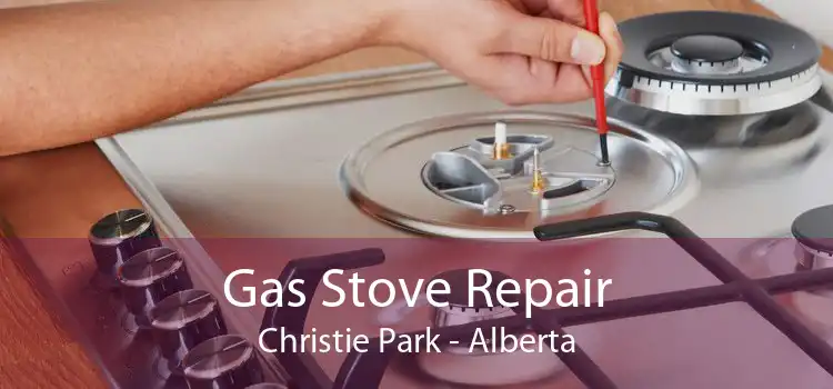 Gas Stove Repair Christie Park - Alberta