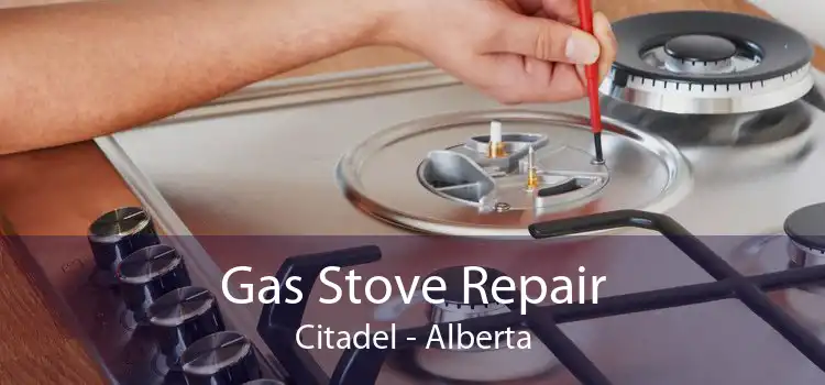 Gas Stove Repair Citadel - Alberta