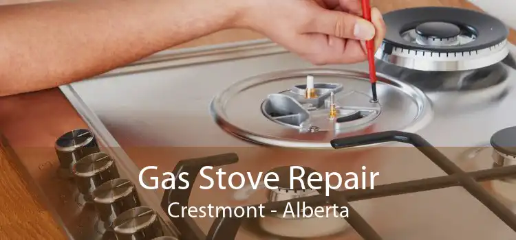 Gas Stove Repair Crestmont - Alberta