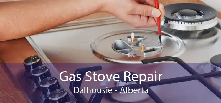 Gas Stove Repair Dalhousie - Alberta