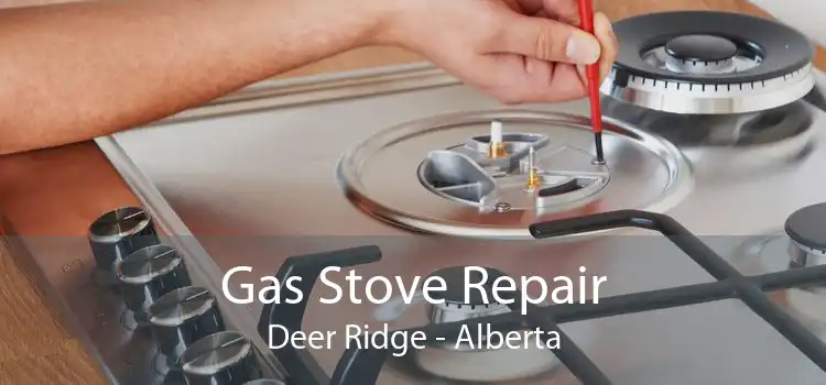 Gas Stove Repair Deer Ridge - Alberta