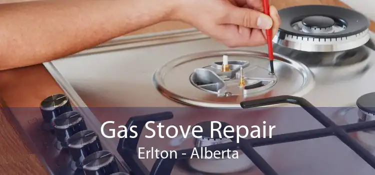 Gas Stove Repair Erlton - Alberta